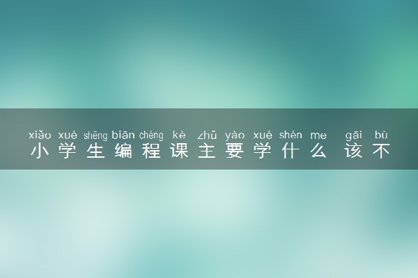 小学生编程课主要学什么 该不该给孩子报