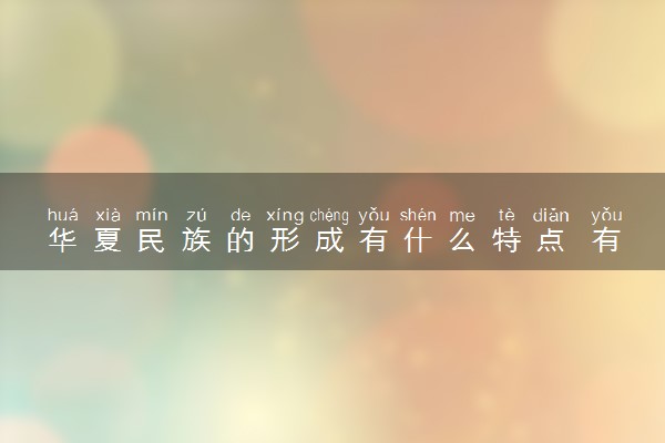 华夏民族的形成有什么特点 有哪些文化艺术