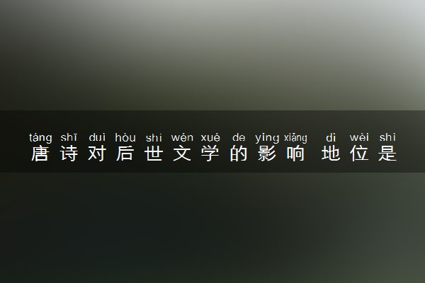 唐诗对后世文学的影响 地位是什么