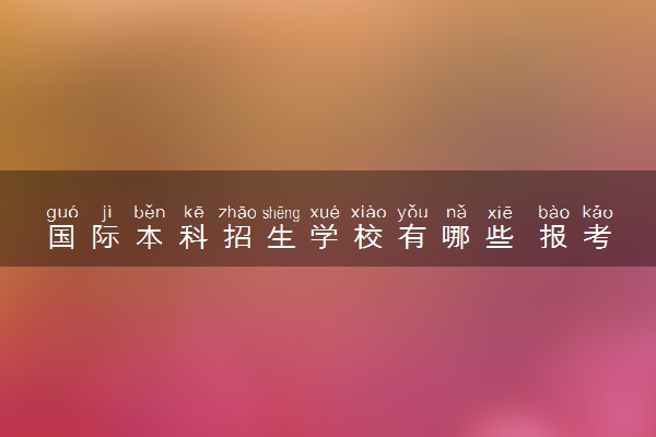 国际本科招生学校有哪些 报考要求是什么
