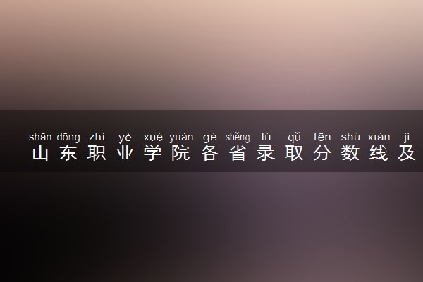 山东职业学院各省录取分数线及位次 投档最低分是多少(2024年高考参考)