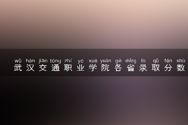 武汉交通职业学院各省录取分数线及位次 投档最低分是多少(2024年高考参考)
