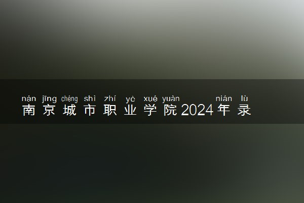 南京城市职业学院2024年录取分数线 各专业录取最低分及位次
