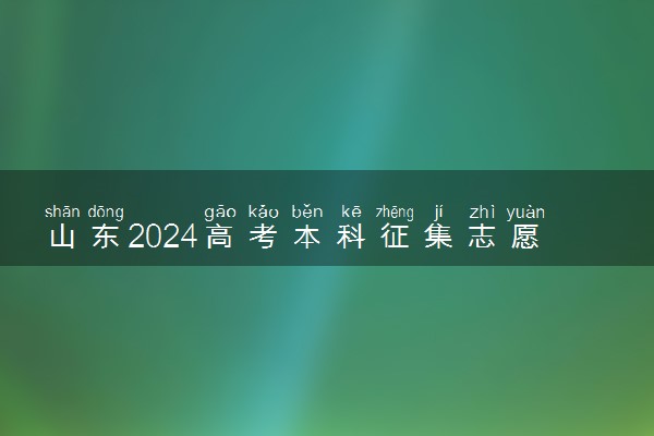 山东2024高考本科征集志愿填报时间和截止时间