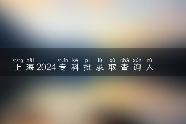 上海2024专科批录取查询入口官网 怎么查录取结果