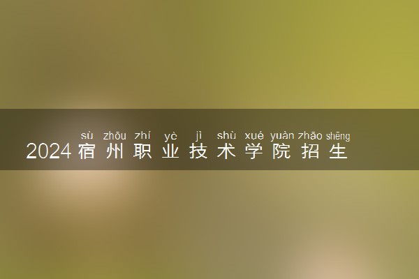 2024宿州职业技术学院招生章程 录取规则是什么