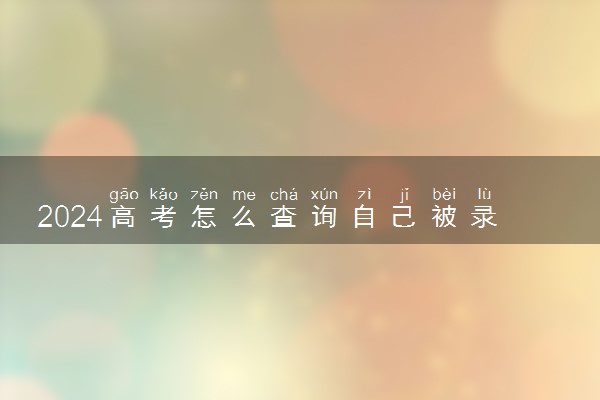 2024高考怎么查询自己被录取 有哪些途径