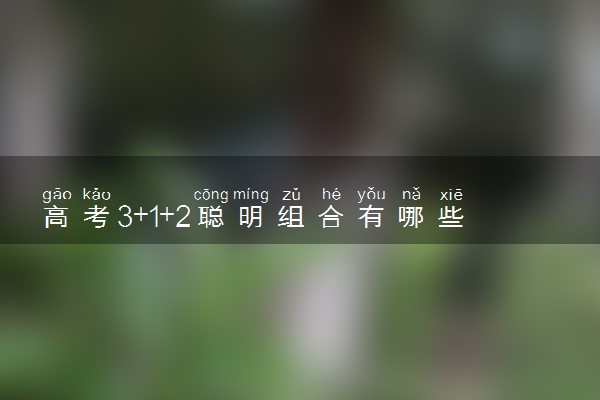 高考3+1+2聪明组合有哪些 怎么选科