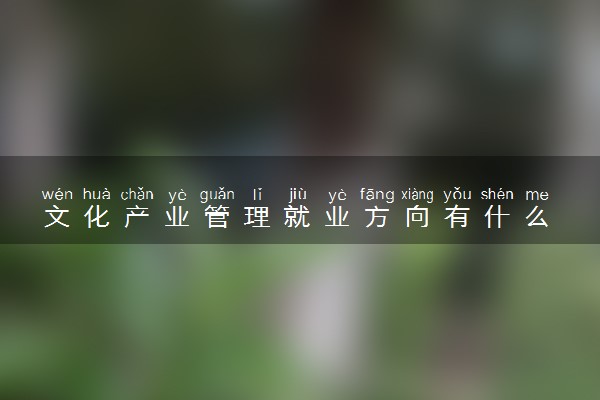 文化产业管理就业方向有什么 就业前景怎么样