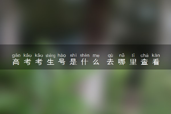 高考考生号是什么 去哪里查看