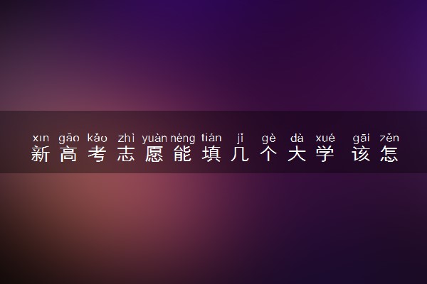 新高考志愿能填几个大学 该怎么填报
