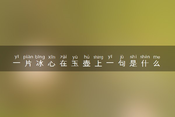 一片冰心在玉壶上一句是什么 什么意思