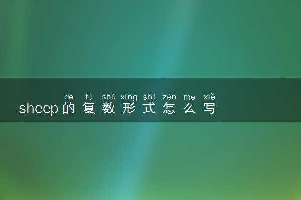 sheep的复数形式怎么写 含义是什么
