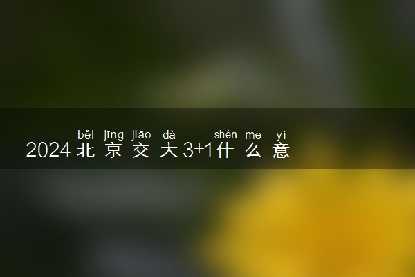 2024北京交大3+1什么意思 国际本科怎么样