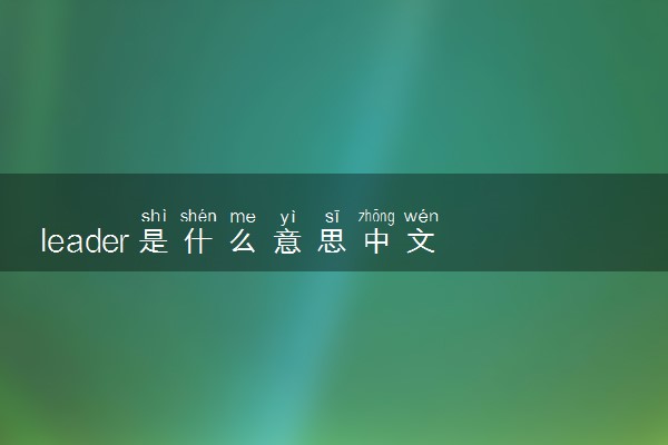leader是什么意思中文 例句汇总