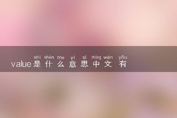 value是什么意思中文 有哪些例句