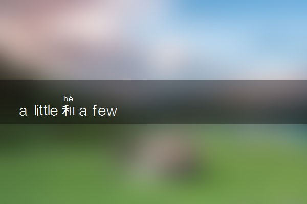 a little和a few的区别 有哪些不同之处