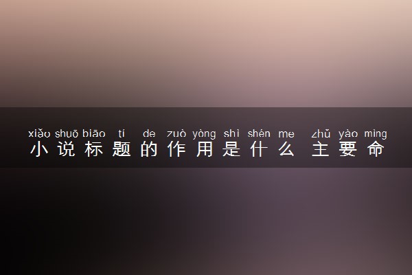 小说标题的作用是什么 主要命题方向是什么