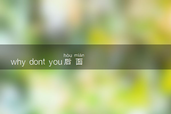 why dont you后面跟什么 有哪些例句