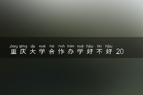 重庆大学合作办学好不好 2024容易找工作吗