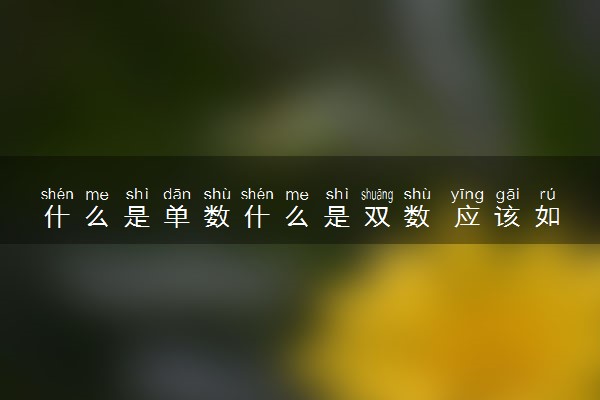什么是单数什么是双数 应该如何区分