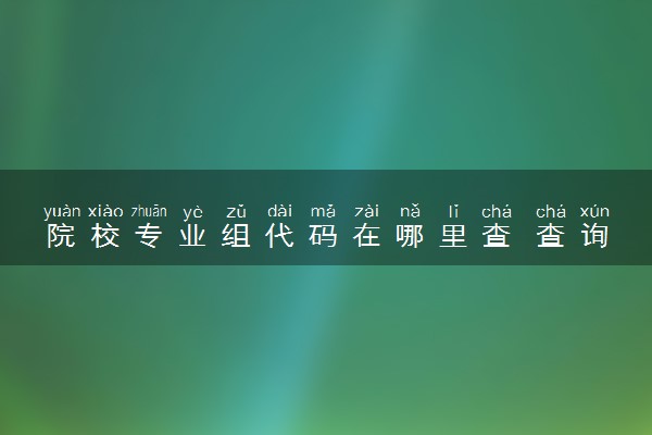 院校专业组代码在哪里查 查询方法是什么