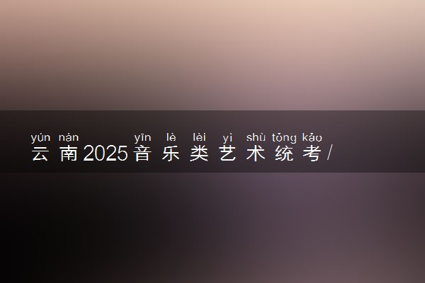 云南2025音乐类艺术统考/联考满分多少 各科分值是多少