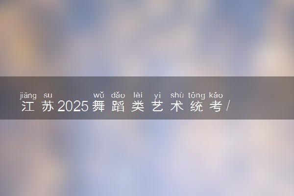 江苏2025舞蹈类艺术统考/联考满分多少 各科分值是多少