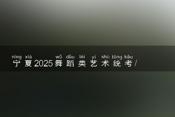 宁夏2025舞蹈类艺术统考/联考满分多少 各科分值是多少