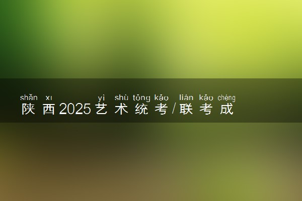 陕西2025艺术统考/联考成绩公布时间 什么时候出分