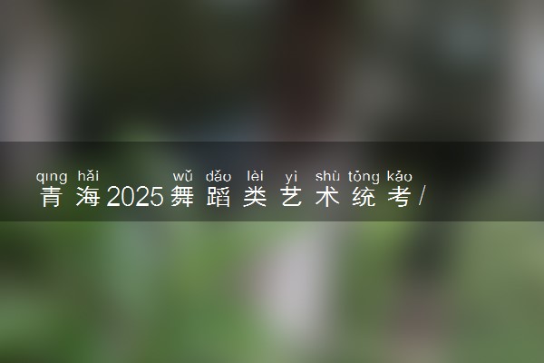 青海2025舞蹈类艺术统考/联考哪天考试 考完后多久出分