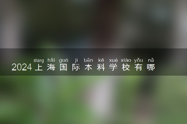 2024上海国际本科学校有哪些 含金量高吗