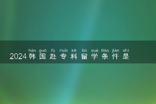 2024韩国赴专科留学条件是什么 好申请吗