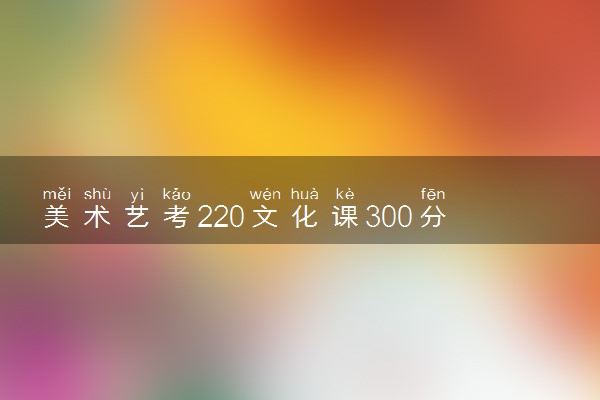 美术艺考220文化课300分能上什么学校 如何报考院校