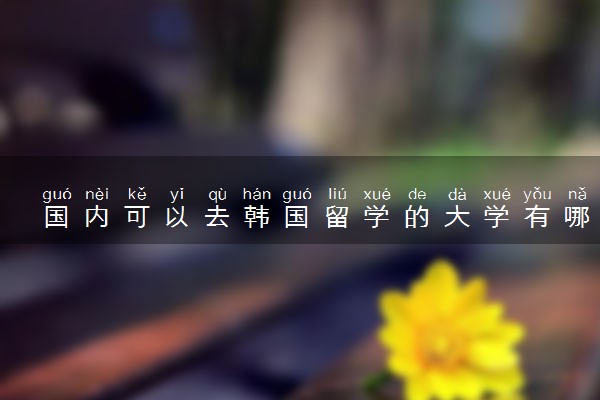 国内可以去韩国留学的大学有哪些 具体院校名单