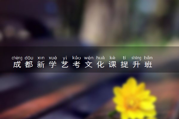 成都新学艺考文化课提升班