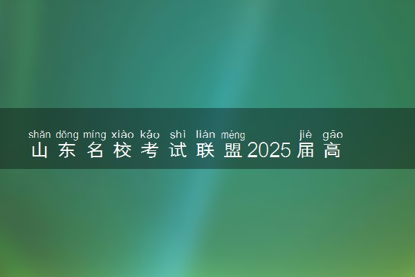 山东名校考试联盟2025届高三期中检测各科试题及答案