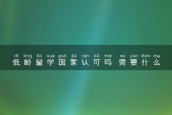 低龄留学国家认可吗 需要什么条件