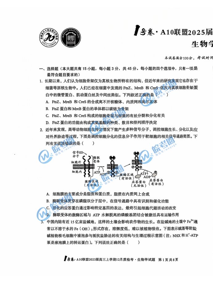 2025届安徽A10联盟高三12月联考生物试题及答案解析