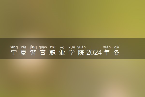 宁夏警官职业学院2024年各省录取分数线 多少分能考上