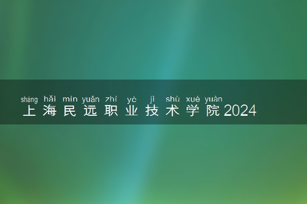 上海民远职业技术学院2024各省录取分数线及最低位次是多少