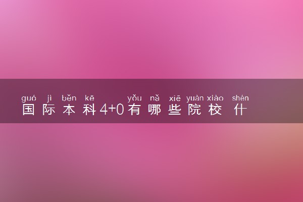 国际本科4+0有哪些院校 什么专业好