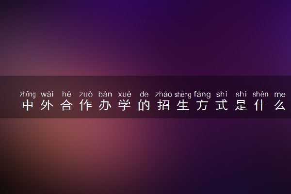 中外合作办学的招生方式是什么 招生政策有哪些