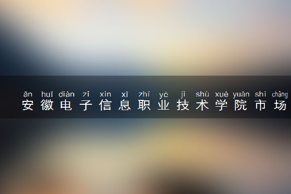 安徽电子信息职业技术学院市场营销专业怎么样 录取分数线多少