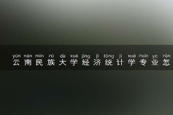 云南民族大学经济统计学专业怎么样 录取分数线多少