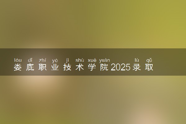 娄底职业技术学院2025录取分数线整理 最低多少分可以考上