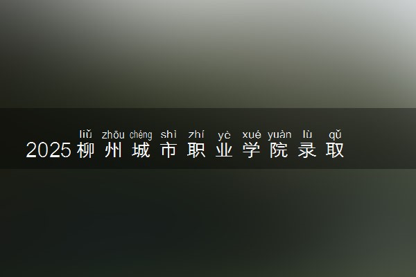 2025柳州城市职业学院录取分数线是多少 各省最低分数线汇总