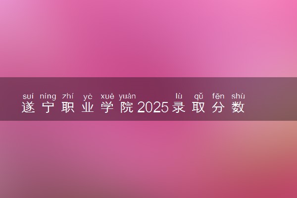 遂宁职业学院2025录取分数线整理 最低多少分可以考上