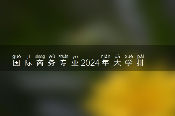 国际商务专业2024年大学排名 最好的大学排行榜