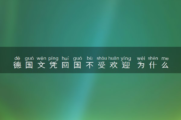 德国文凭回国不受欢迎 为什么这么说